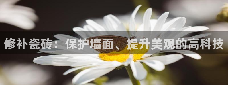 金年会体育app下载