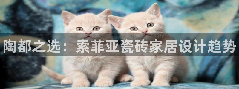 金年会娱乐