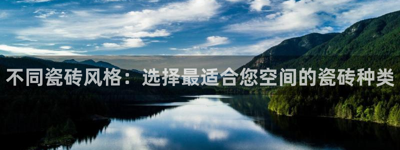 金金年会