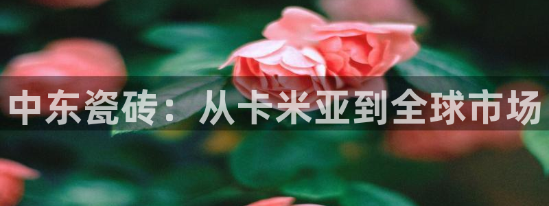 金年会在线