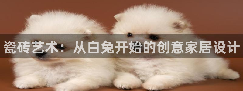 金年会平台是真的吗