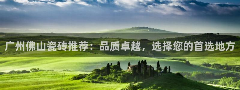 金年会最新下载