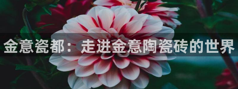 金汉江年会