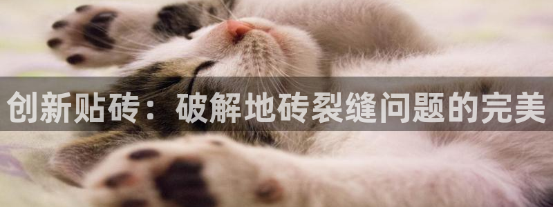 金年会 金字招牌