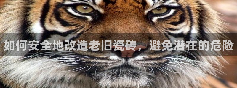 金年会体育官方网站