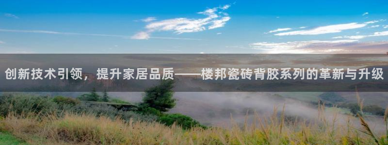 金年会黑网