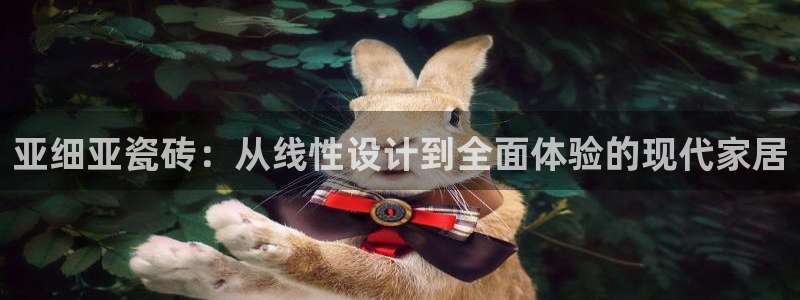 金年会金年华