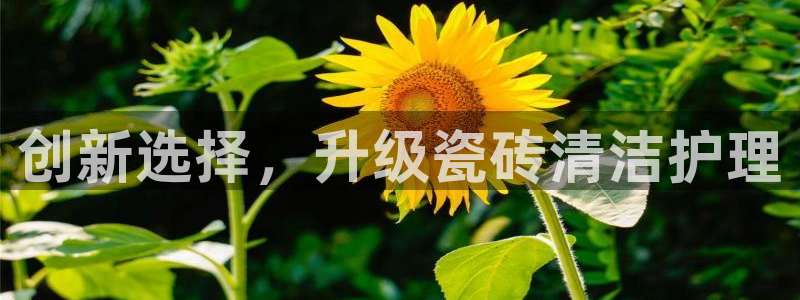 金年会游戏官网