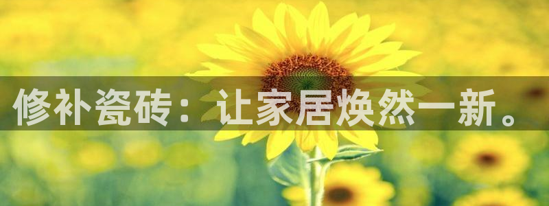 金年会软件之家下载