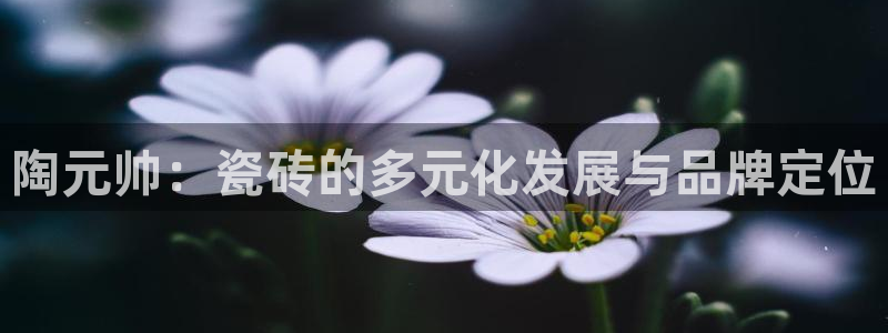 金年会网址