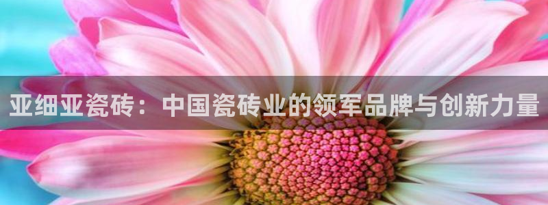 金吉年会