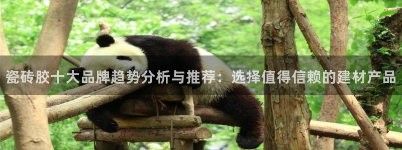 金年会彩票下载app