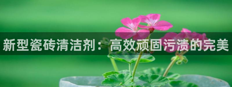 金年会体育平台入口